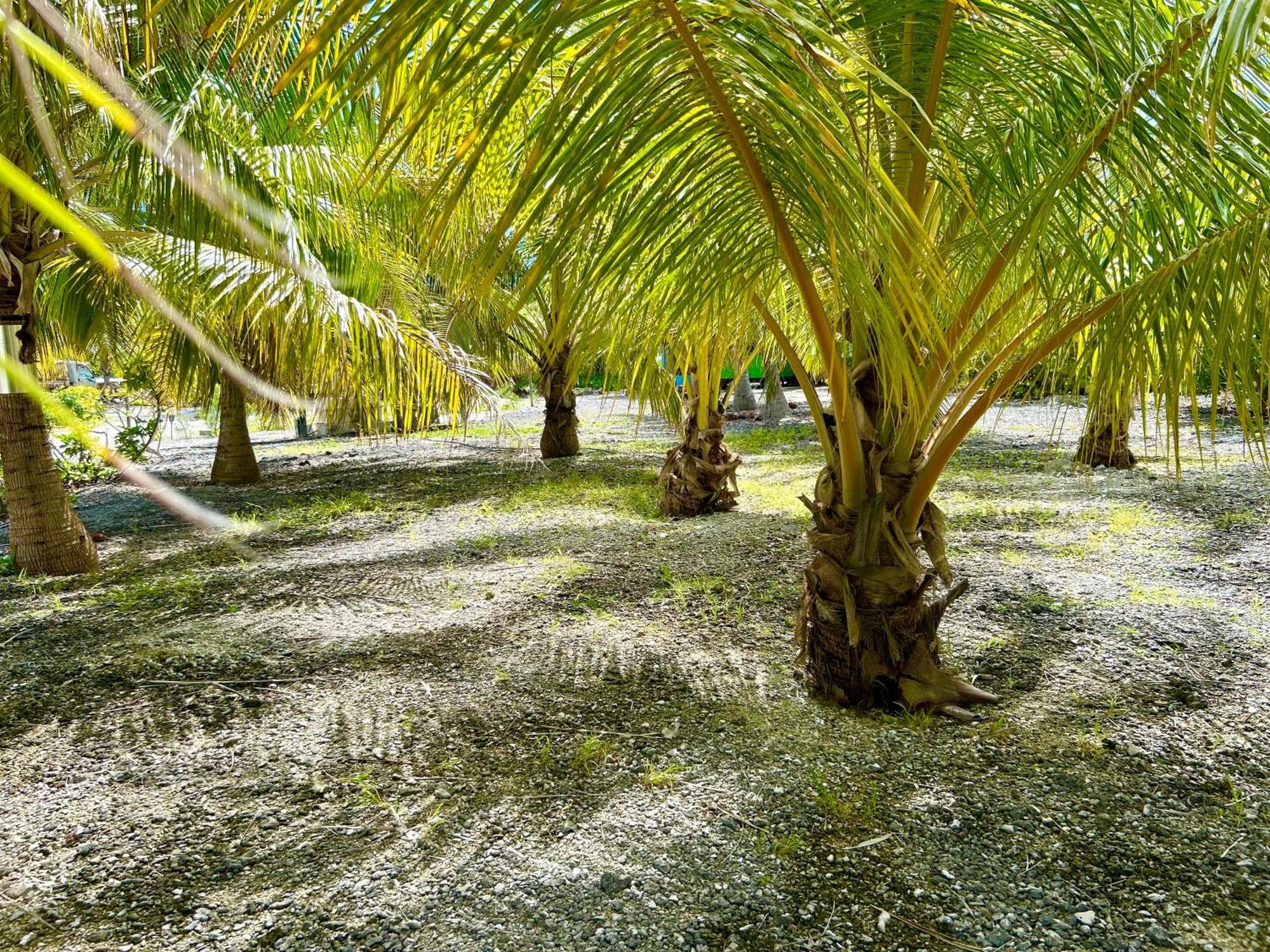 Hotel Rangiroa Bliss Tiputa Exteriér fotografie